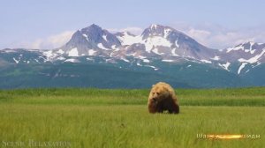 #Коран#АльАнам#СамыеКрасивыеМеста#Relaxation##Islam#Quran#AlAnam#Minshawiy #4кВидео#8часть#