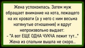 Как зять в машине на тёщу накинулся! Сборник свежих анекдотов! Юмор