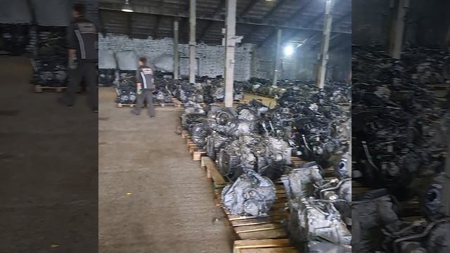 1000301780.mp4 общая смотреть онлайн