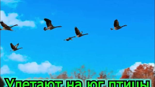 Клены смотреть онлайн
