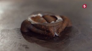 Знание - сила | Кость прочнее стали | Ландшафтный дизайн | №284