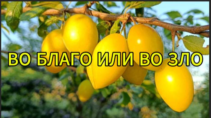Во благо или во зло смотреть онлайн