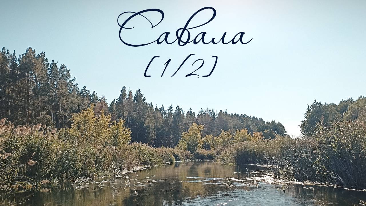 [1/2] Сплав по реке Савала осень 2025