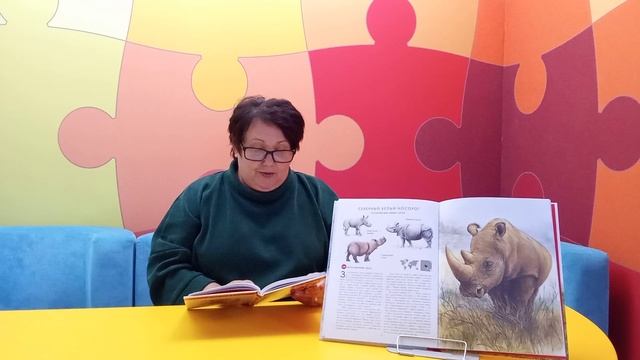 День носорога