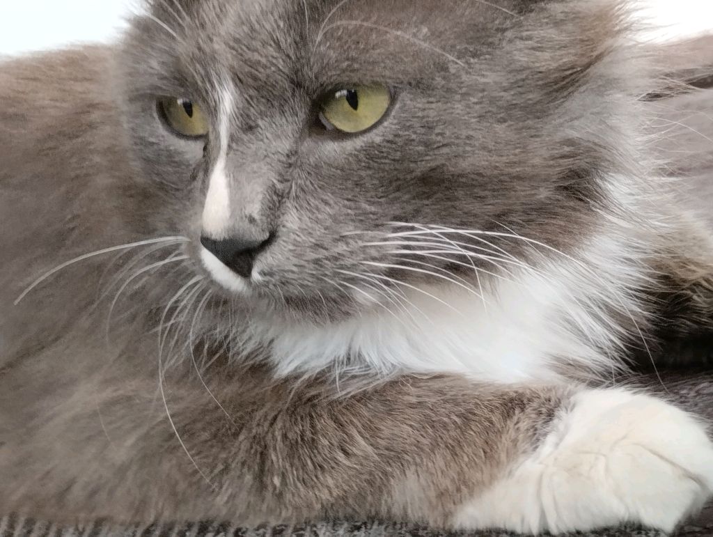 мы гуляем 😁😁😁😁😁