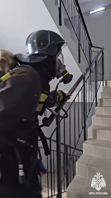 Дальневосточная вертикаль: вверх к победе