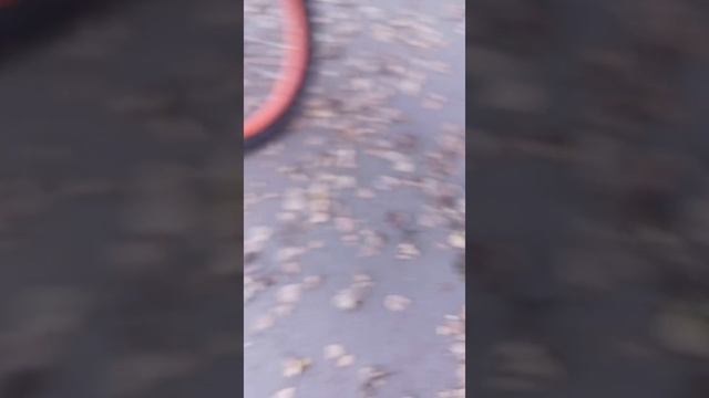 kigoo wish 04 kugoo wish 02 pro сравнение смотреть онлайн