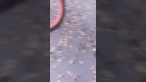 kigoo wish 04 kugoo wish 02 pro сравнение