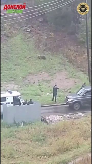 Медведь забрел не туда - и поплатился за это смотреть онлайн