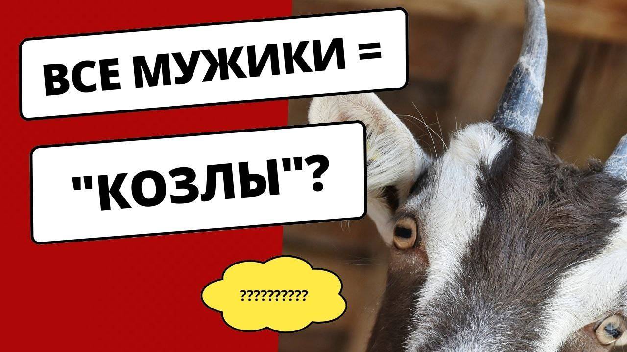 Все мужики - "козлы"
