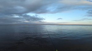 Рыбалка На Спиннинг. Хозяин Реки Порадовал...