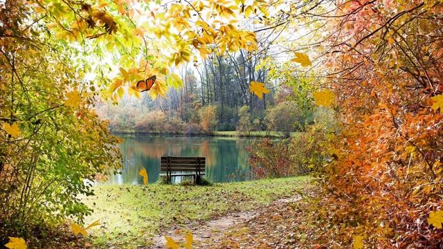 ФУТАЖ - ЗОЛОТАЯ ОСЕНЬ НА ОЗЕРЕ смотреть онлайн