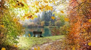 ФУТАЖ  - ЗОЛОТАЯ ОСЕНЬ   НА ОЗЕРЕ