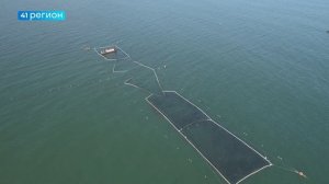 ПУТИНА-2025 ЗАВЕРШИЛАСЬ НА КАМЧАТКЕ • НОВОСТИ КАМЧАТКИ