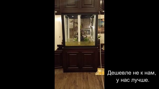 Аквастекло.ру - Lucky Choice