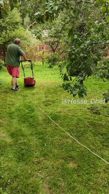 Иногда бывает и травку покосить нужно на даче. Не всё же время на кухне пропадать 🌿👨🍳