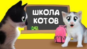 ШКОЛА КОТОВ! ПЕРВЫЙ УРОК У МУРКИ. [2018]