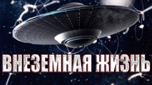 Зарождение новой жизни? Зачем НЛО по всему миру распыляют странные осадки?