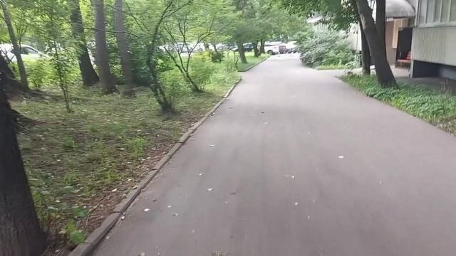 Часть полусфер погрузчик зимой загрузил с снегом а часть передвинули на проезжую часть