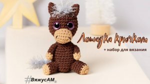 Как связать ЛОШАДКУ крючком Амигуруми СИМВОЛ ГОДА | Подробный МК со схемой и описанием | #ВяжусАМ