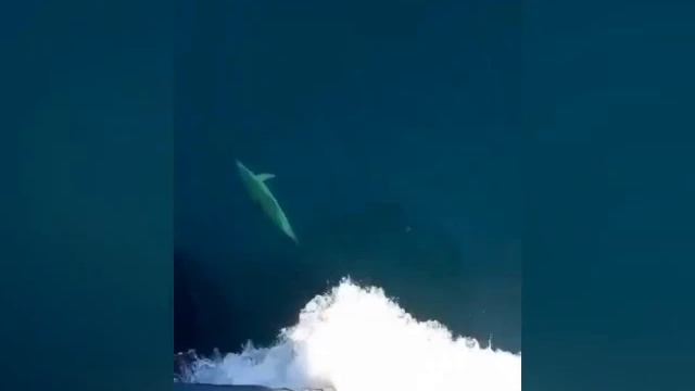 КОМЕДИЯ РОК Против Течения!!! смотреть онлайн