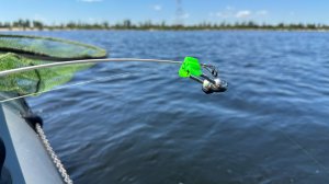 Ловля крупного леща и голавля на "Кольцо". Рыбалка на Волге 2025