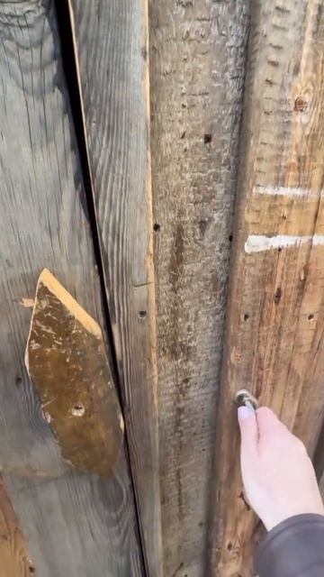 Туалет моей бабушки. смотреть онлайн