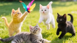 😹Красивые Кошки и Котята играют на траве и ловят бабочек🔥