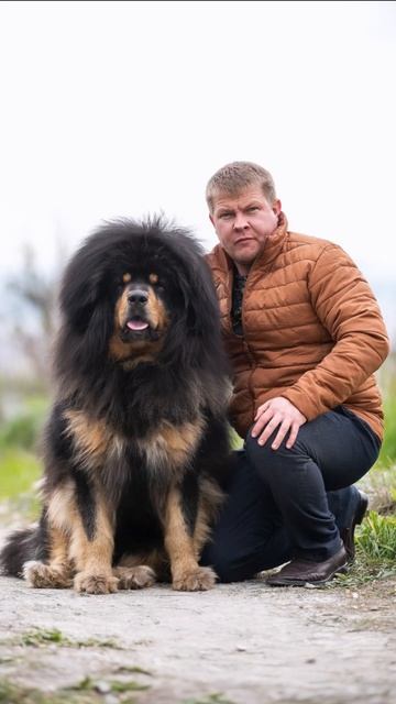 ⚜️DIONIS PRIDE⚜️