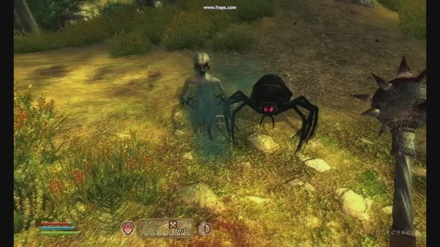 Oblivion c кучей модов -   сражения 13