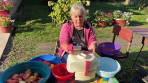 Прибирают огород. Кручу ПОМИДОРЫ 🍅на СОК.