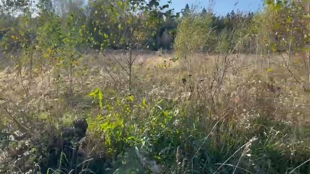 Видео WhatsApp 2025-09-23 в 12.12.37_b34c268f