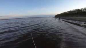 Ловля неводом. Рыбалка для соседки...