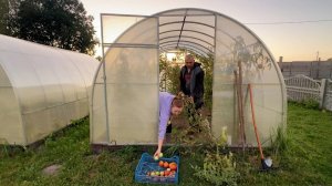 Собрали последний урожай. Убираем теплицы. Делаем ремонт в доме. Важная поездка. Жизнь в деревне.