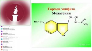 Вебинар: «Регуляция метаболизма и аквабиотики. Часть 2.»