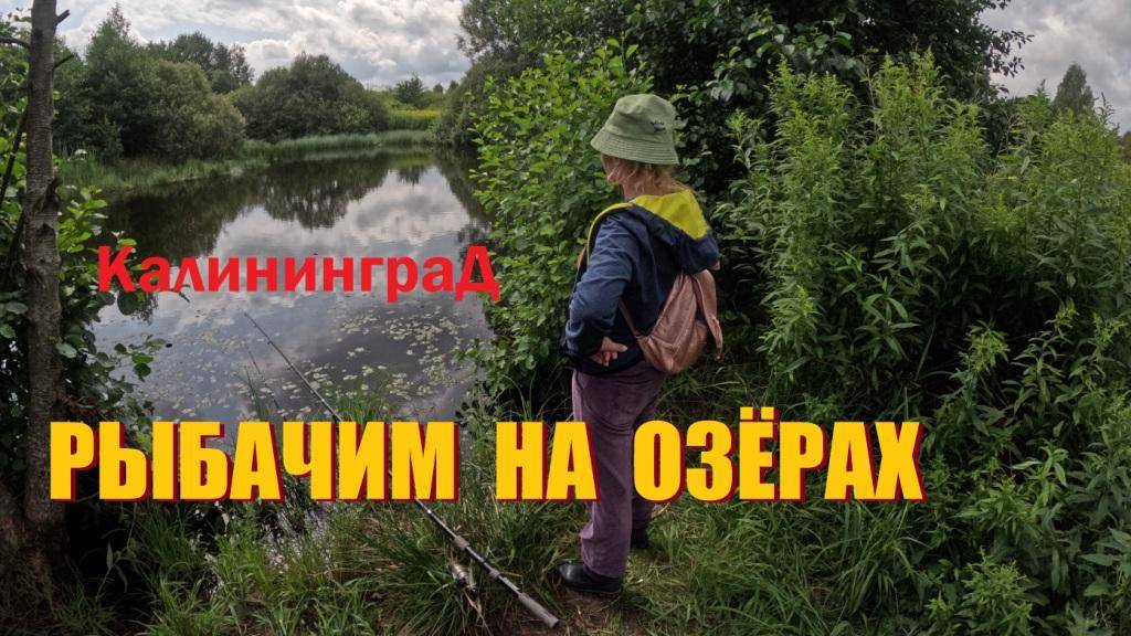 Рыбалка на поплавок в озёрах и реках.Судак.И дождь не помеха.А ещё тихая охота за грибами  в Шиповке