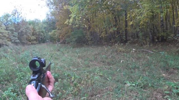 Загонная охота на лося-рогоча, кабана, и самца сибирской косули