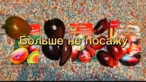 Эти томаты разочаровали в сезоне 2025.Больше сажать не буду.