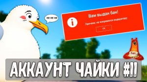 Модератор в хейтерах в РР4 решил мучать чайку #рр4