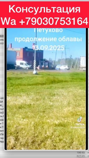 Разморозка Алипей. Пиши в ватсап смотреть онлайн