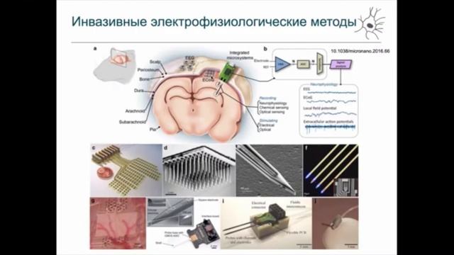 NeuroSchool - день 4 часть 2 смотреть онлайн