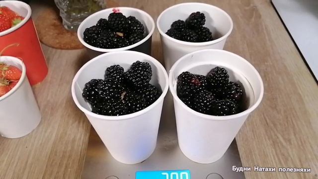 Распаковка урожая с грядки! 3 неделя сентября! А мы собираем ягоды!