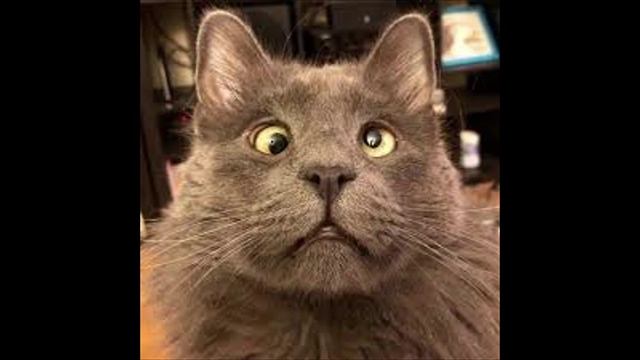 Разговоры с коллекторами 95 смотреть онлайн