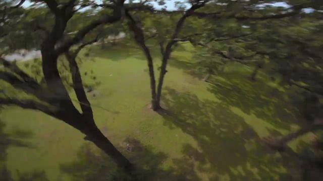 Фристайл на ФПВ дроне смотреть онлайн