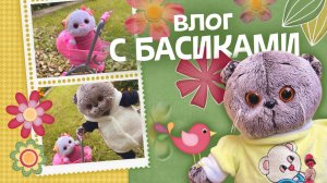 ВЛОГ С БАСИКАМИ | Коты Басики делают уроки