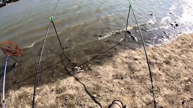 Рыбалка на Кубани,что лучше фидер или убийца карася. смотреть онлайн