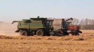 Урожай зерна в Казахстане под угрозой. Аграрии торопятся завершить уборку, пока тепло и солнечно