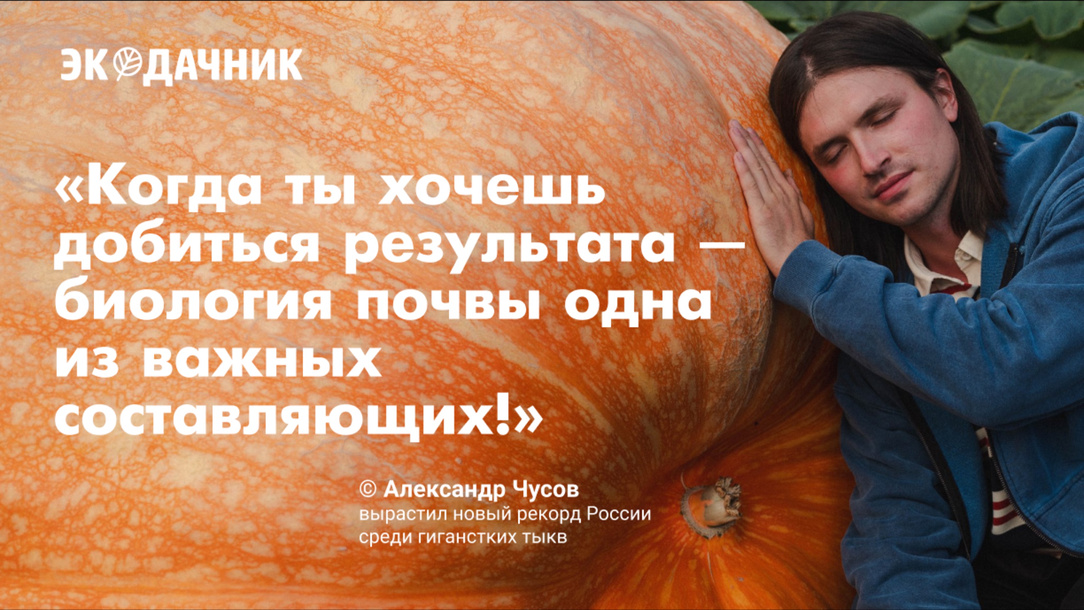 Как я вырастил ТЫКВУ на 969 кг: история Александра Чусова, новый рекорд России!