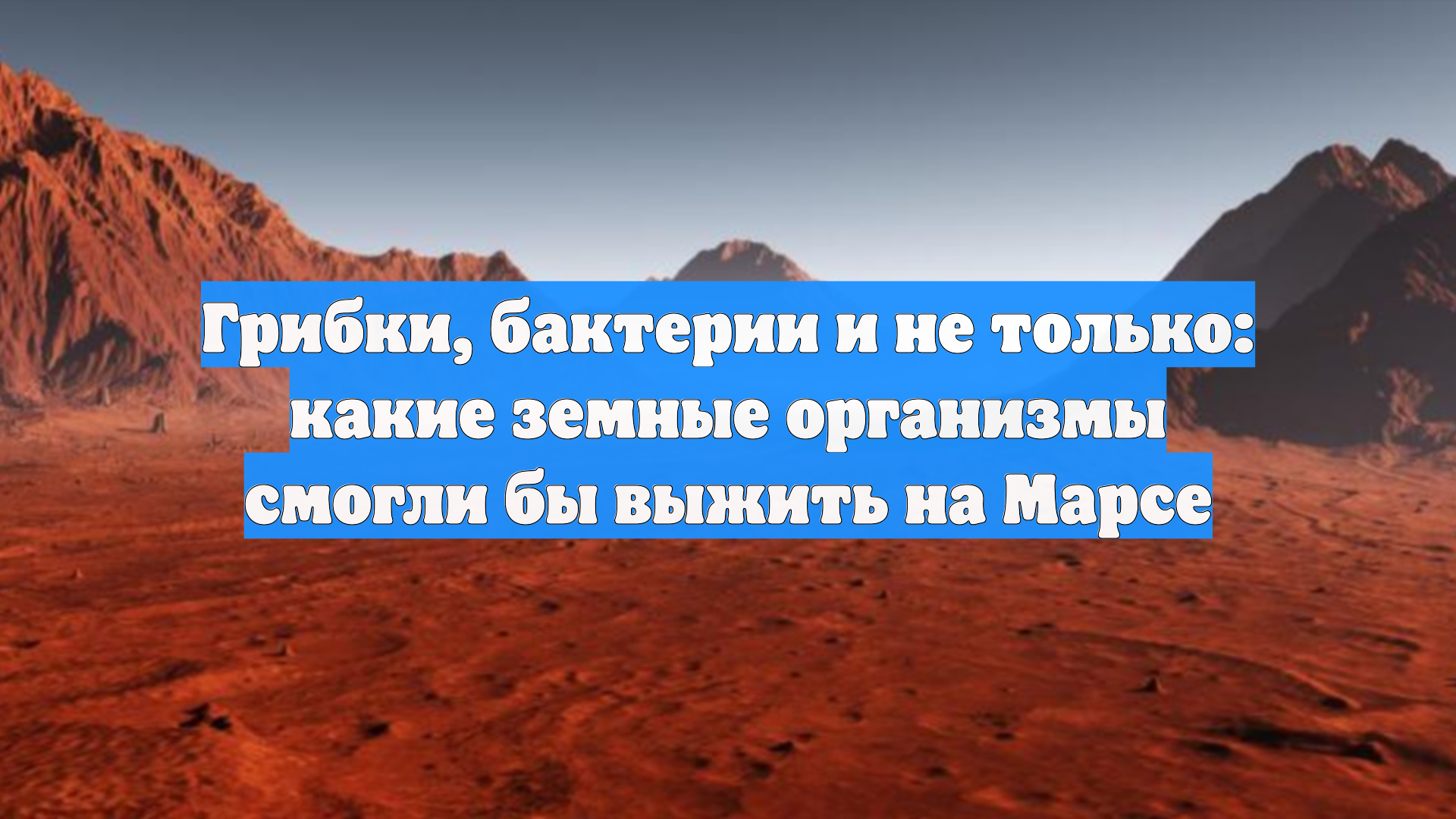 Первый Новостной