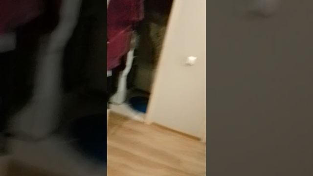 прятки смотреть онлайн